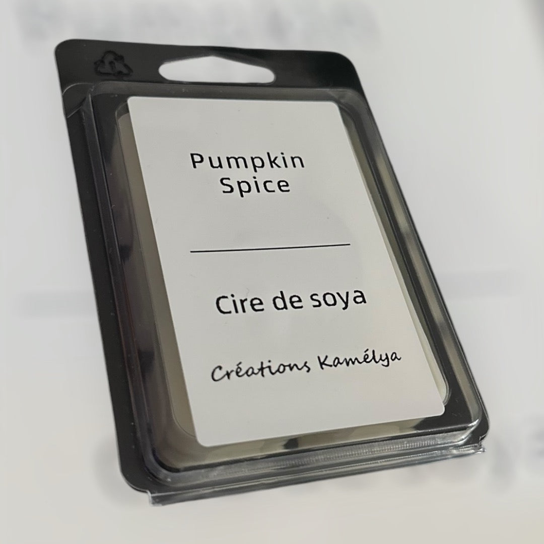 Cube de cire