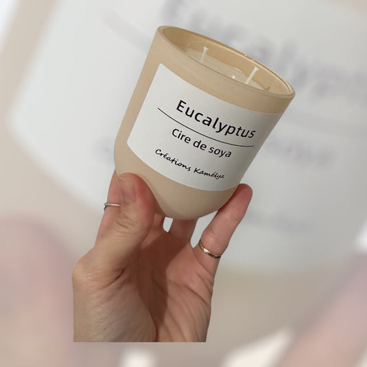 Bougies eucalyptus